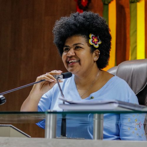 Vereadora Jô Oliveira participa de plenária sobre igualdade racial e destaca papel da segurança pública na luta antirracista